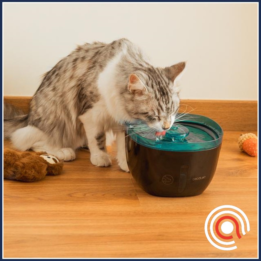 product group  Pet Water Fountains