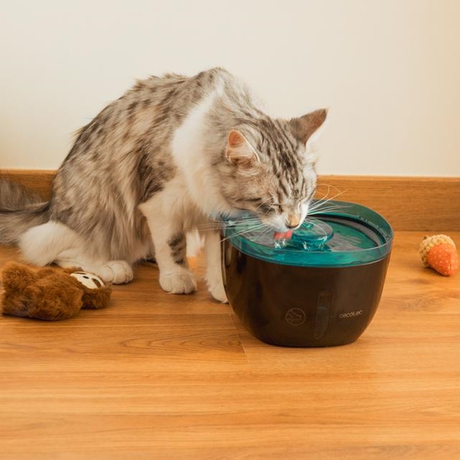 additioanl image for  Cecotec Pumba Refresh Auto Pet Fountain 